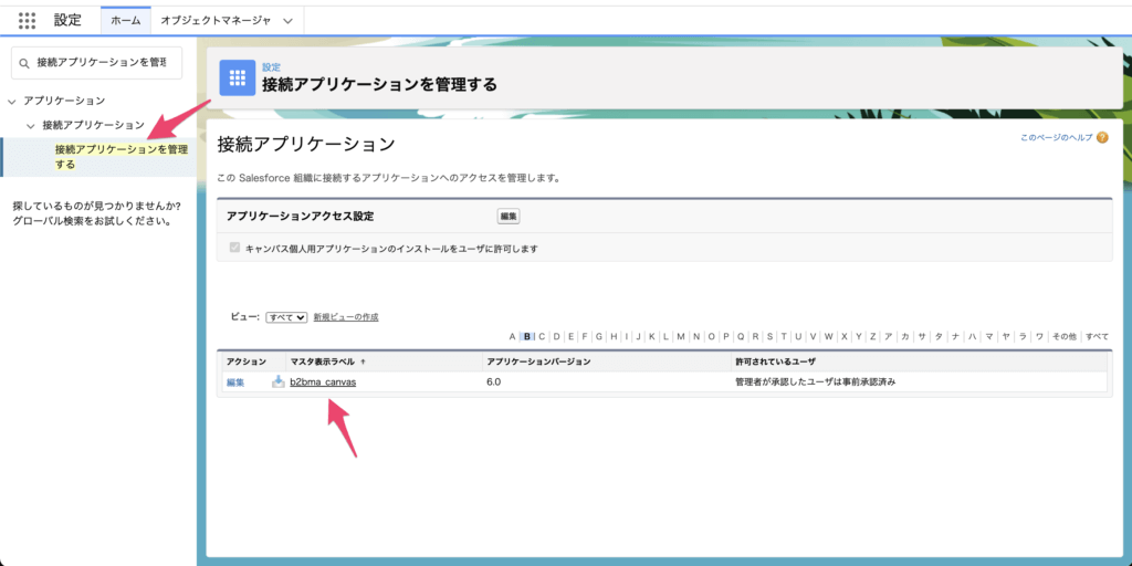 Pardot Lightning アプリケーションへのアクセス権の付与