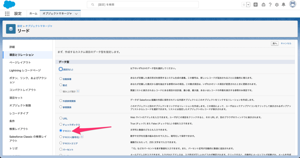 ステップ 1. データ型の選択